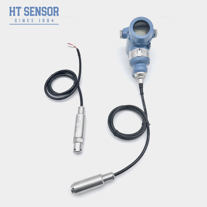 BH93420-III Liquid Level Transmitter with 316L Stainless Steel IP68 Protection and 4-20mA Output